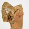 Moroccan pterosaur bone, The Natural Canvas