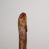 Moroccan pterosaur bone - Image 2