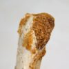 Moroccan pterosaur bone, The Natural Canvas