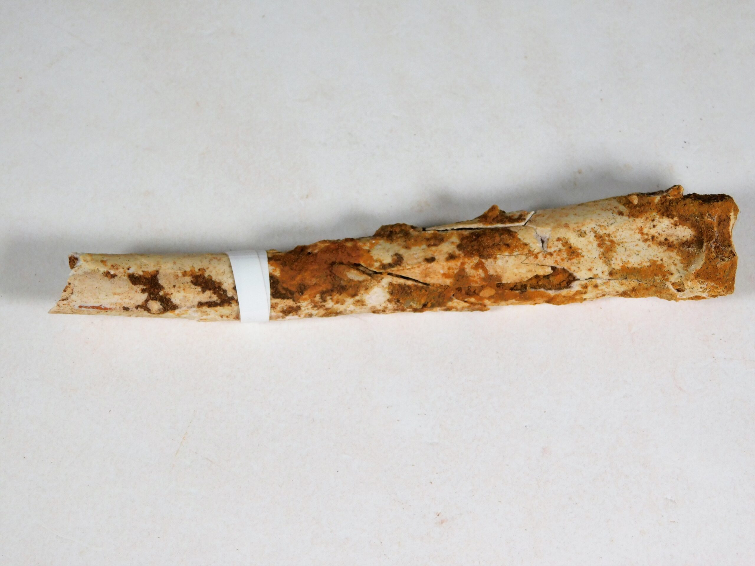 Moroccan pterosaur bone - Image 6