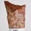 Moroccan pterosaur bone - Image 3