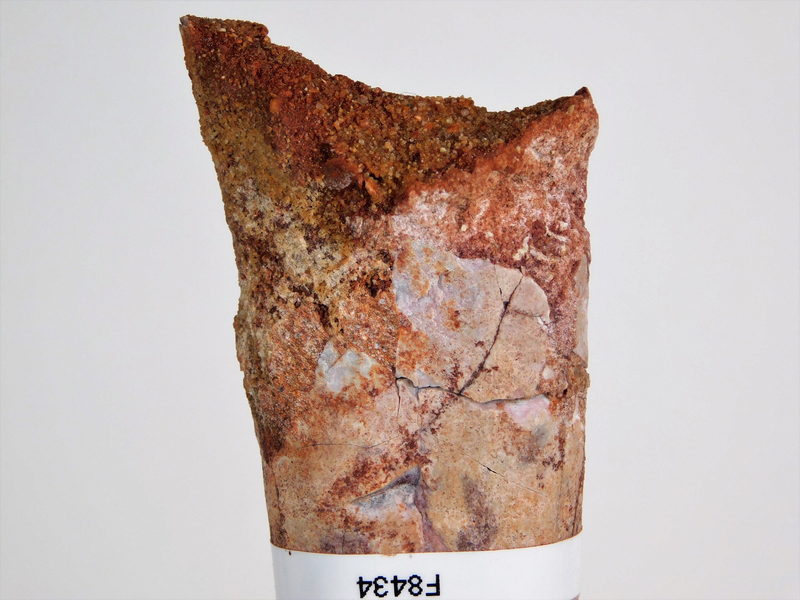 Moroccan pterosaur bone - Image 3