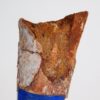 Moroccan pterosaur bone, The Natural Canvas