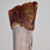 Moroccan pterosaur bone, The Natural Canvas