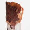 Moroccan pterosaur bone - Image 6