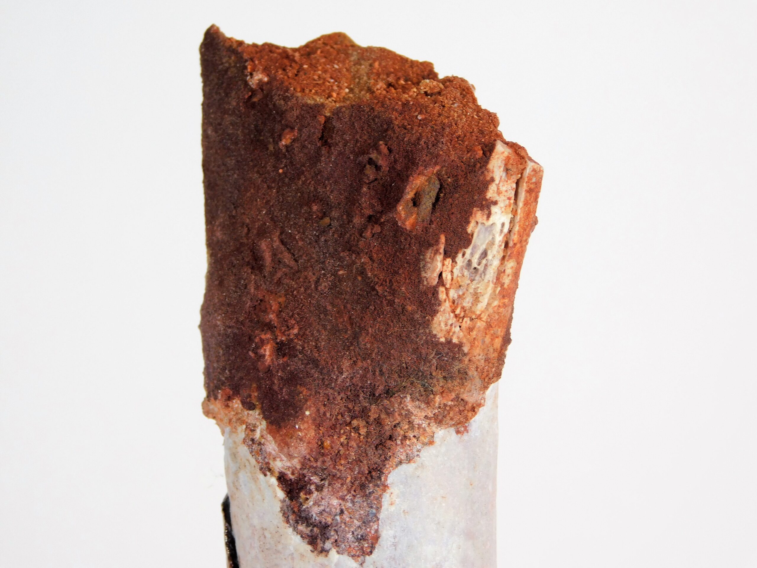 Moroccan pterosaur bone - Image 6