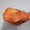 Moroccan pterosaur bone - Image 19