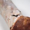 Moroccan pterosaur bone - Image 20