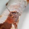 Moroccan pterosaur bone - Image 11