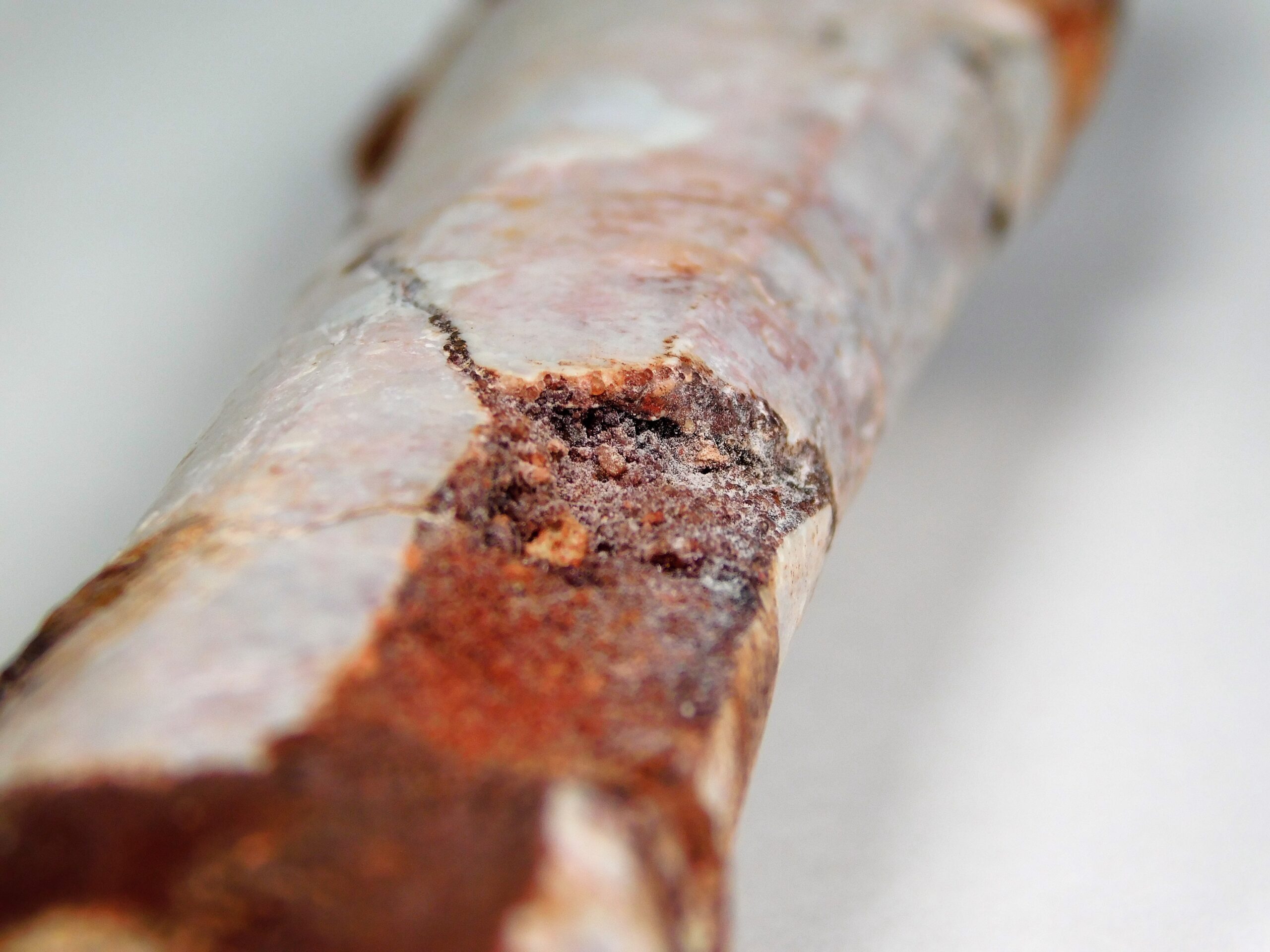 Moroccan pterosaur bone - Image 10