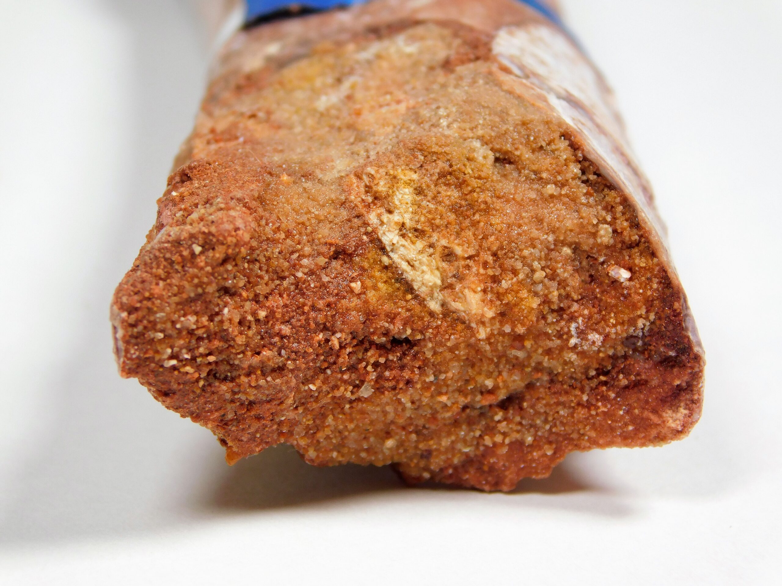 Moroccan pterosaur bone - Image 11