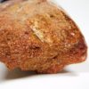 Moroccan pterosaur bone - Image 13
