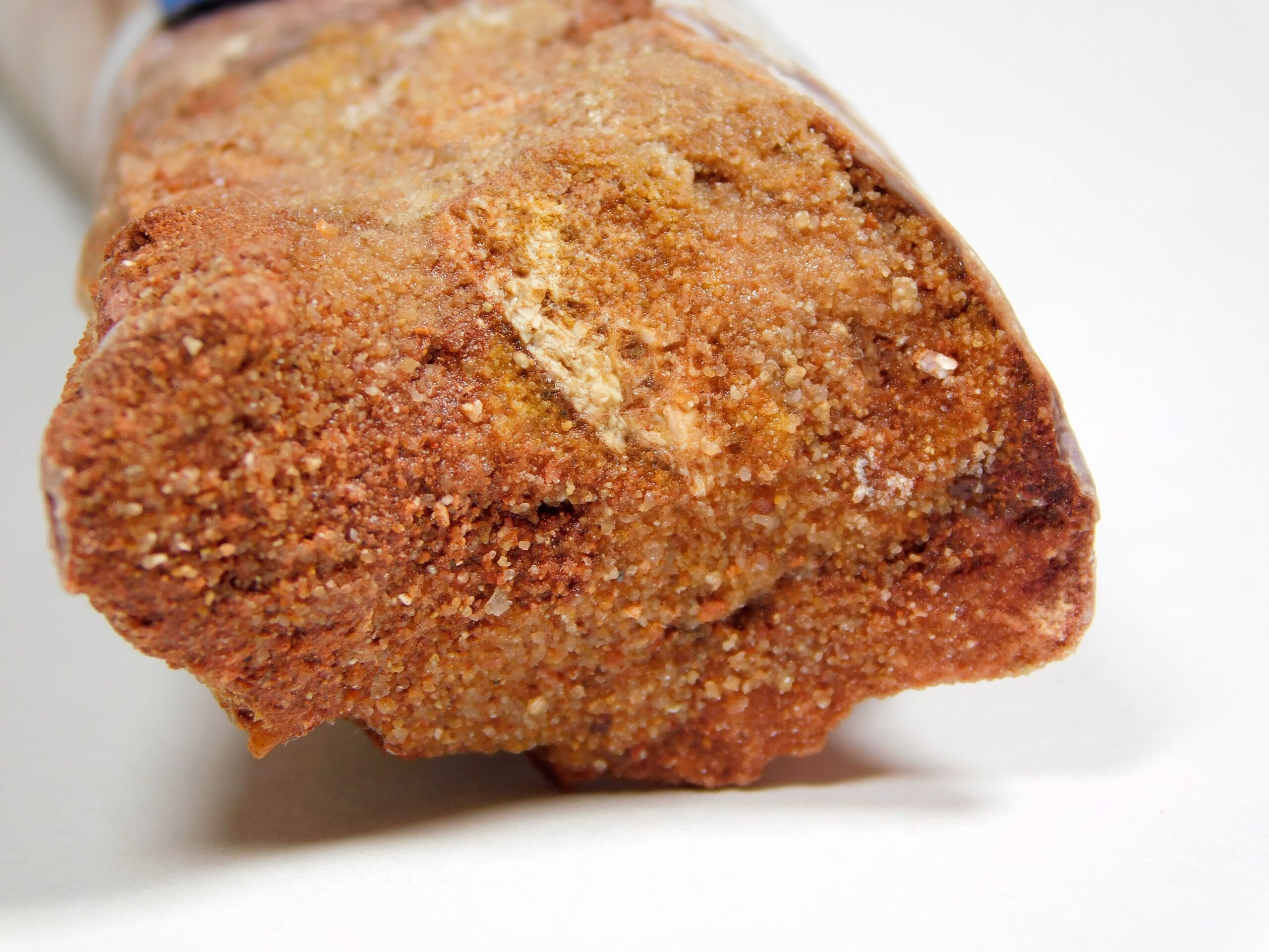 Moroccan pterosaur bone - Image 12