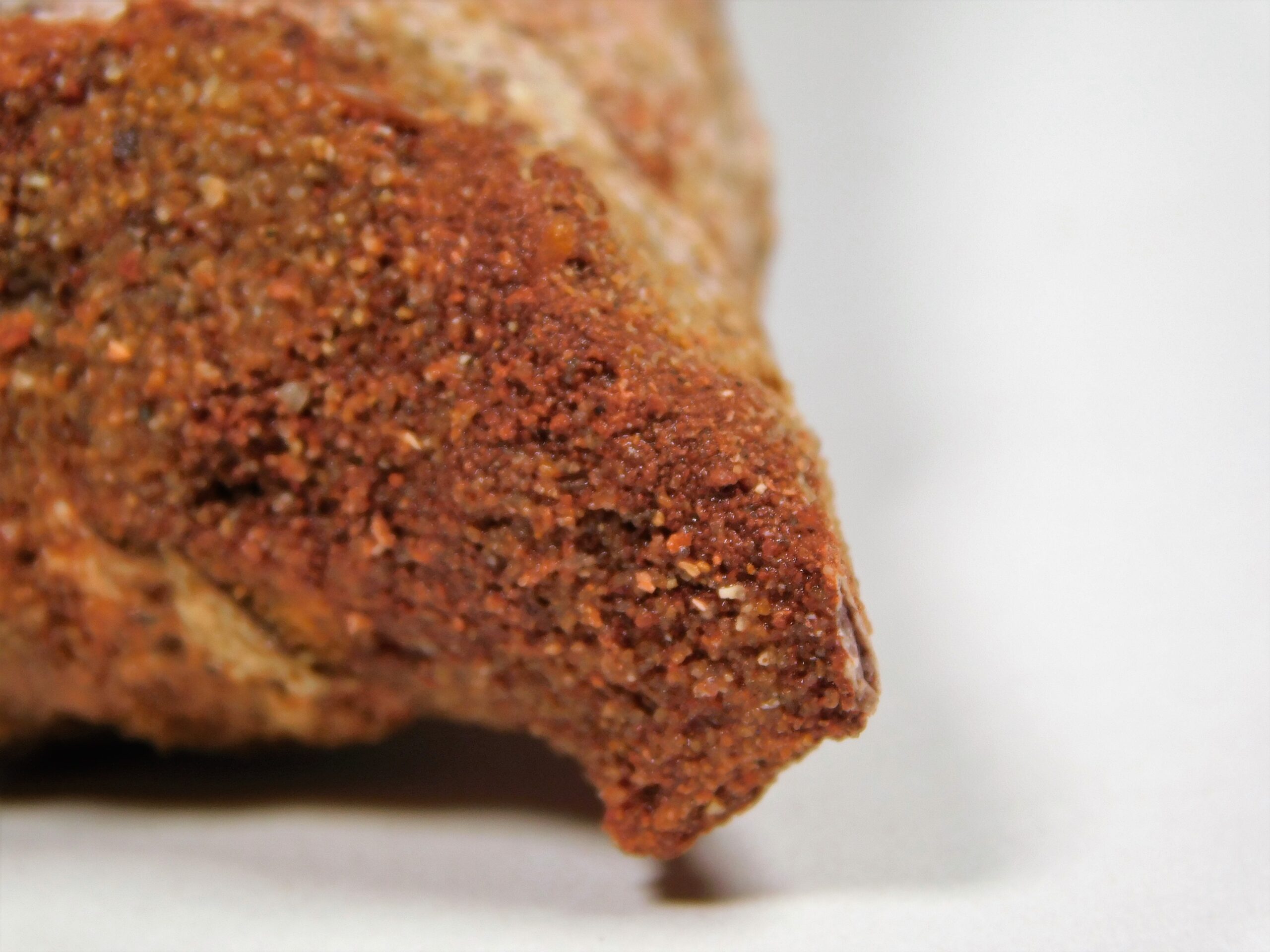 Moroccan pterosaur bone - Image 15