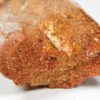 Moroccan pterosaur bone - Image 17