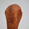 Moroccan pterosaur bone, The Natural Canvas