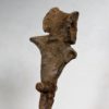 Permian Pelycosaur sail vertebra &#8211; Edaphosaurus, The Natural Canvas