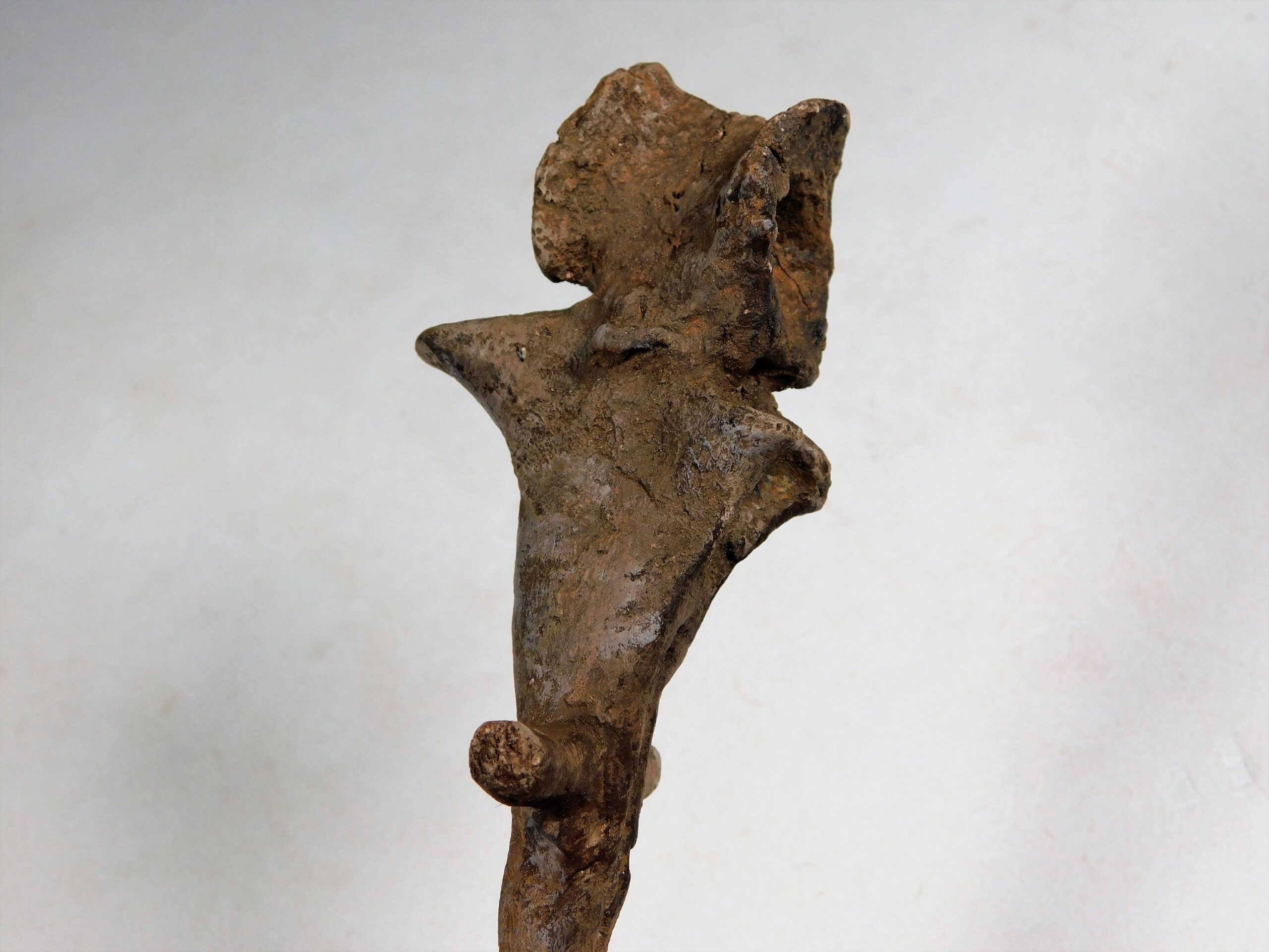 Permian Pelycosaur sail vertebra - Edaphosaurus - Image 2
