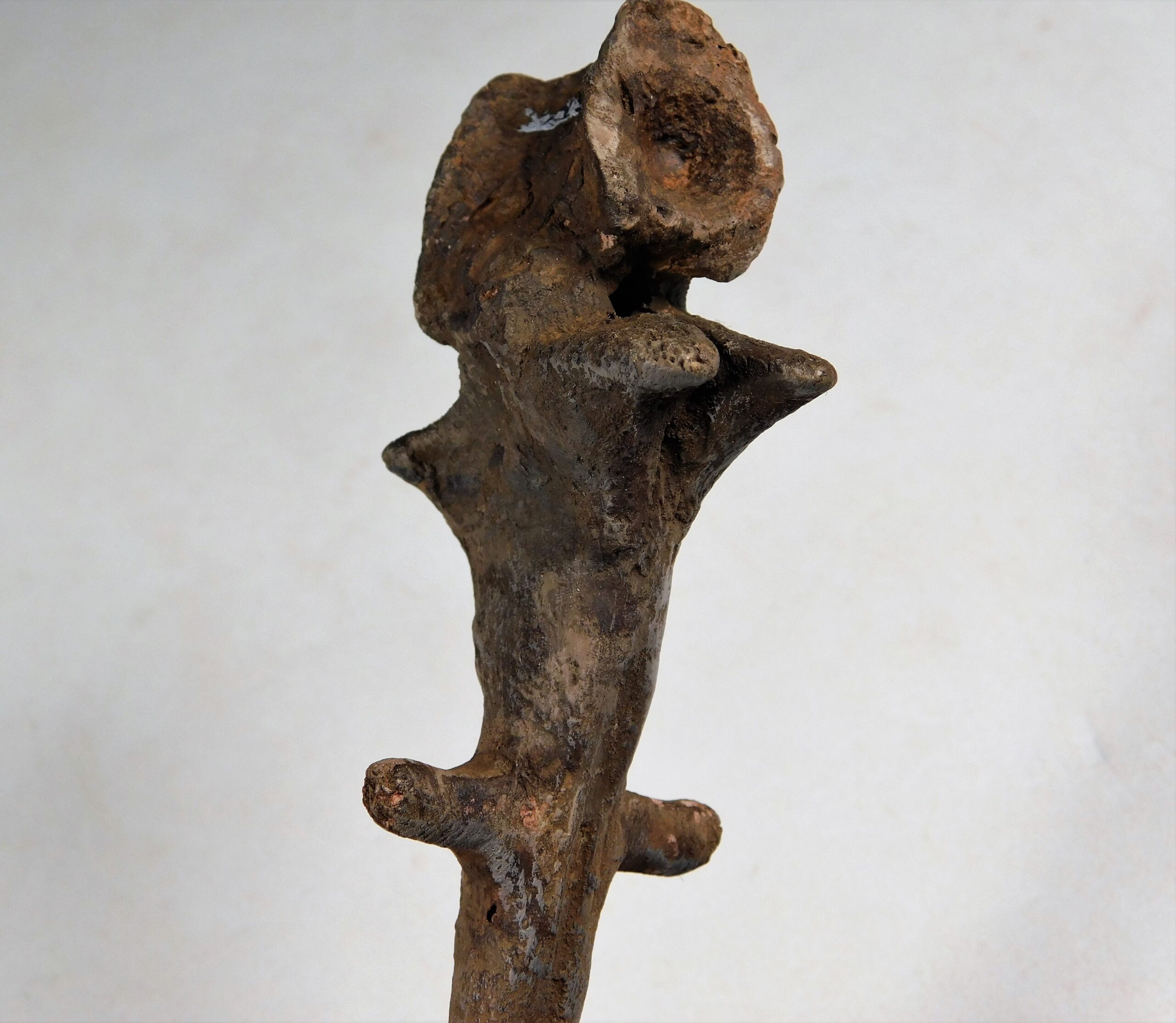 Permian Pelycosaur sail vertebra - Edaphosaurus - Image 3