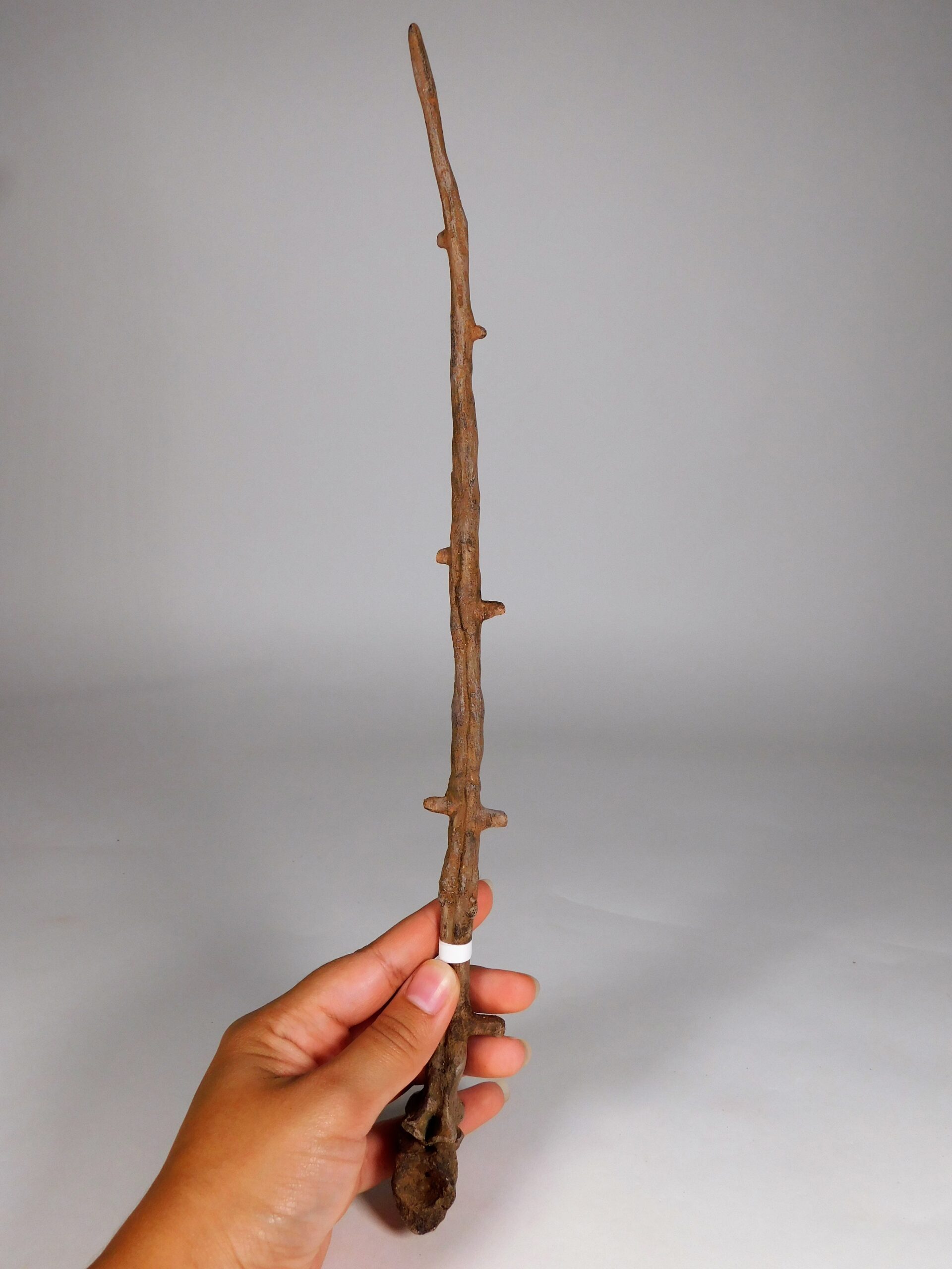 Permian Pelycosaur sail vertebra - Edaphosaurus - Image 6