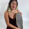 Big Cretaceous Palm frond - Sabalites sp. - Image 6