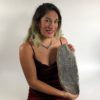 Big Cretaceous Palm frond - Sabalites sp. - Image 7