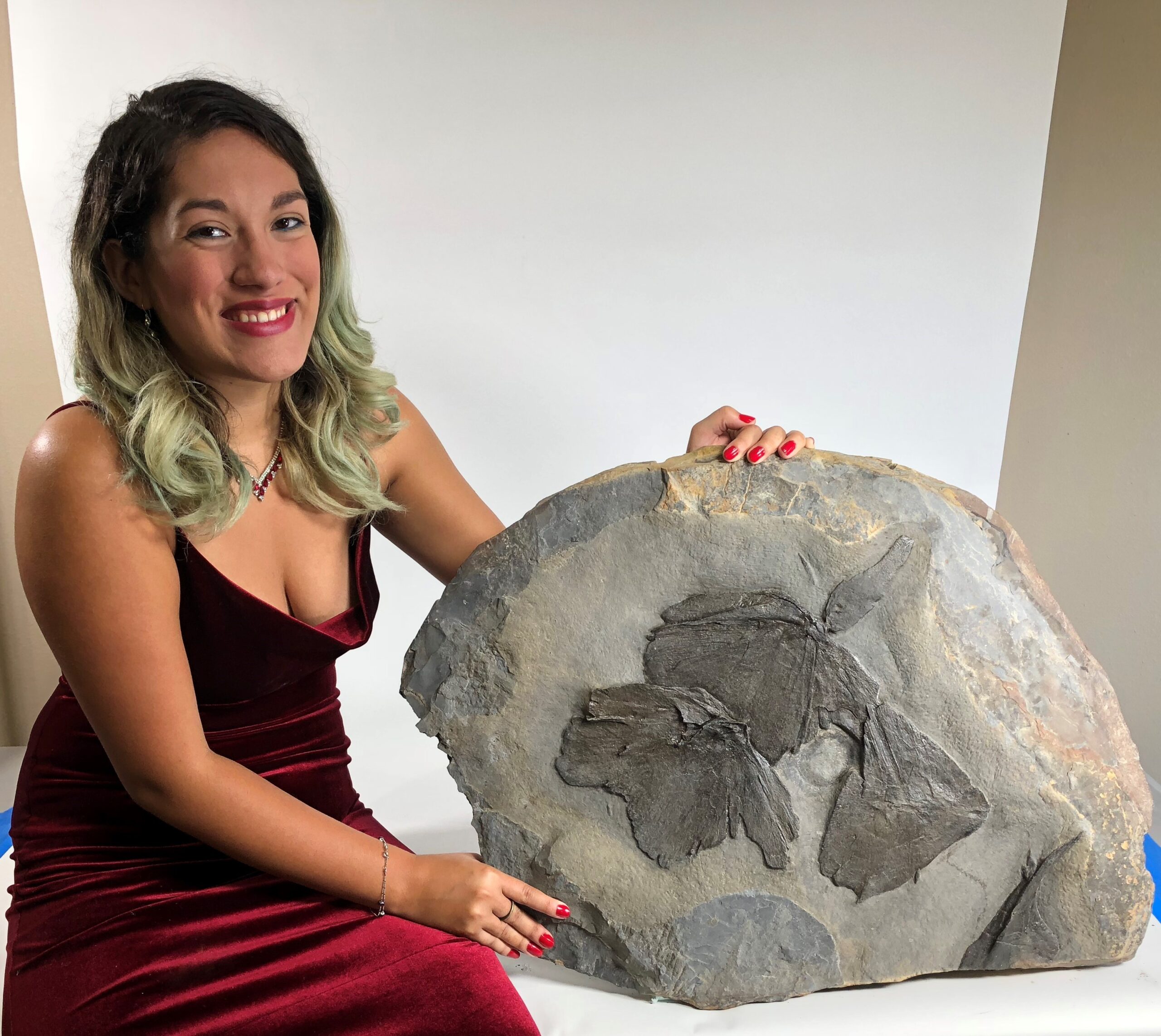Giant Devonian Fish - Dunkleosteus terrelli - Image 4