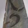 Burgess Shale - Three Ottoia prolifica - Image 3