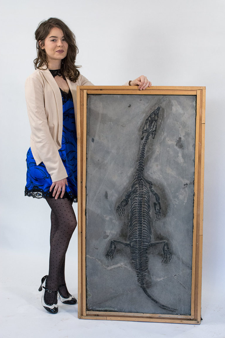 Marine reptile &#8211; Lariosaurus xingyiensis, The Natural Canvas