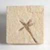 Eocene Flower from the Split Fish Layers - Image 2