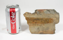 Very Large Anomalocaridid appendage - Aegirocassis benmoulai