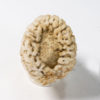 Silicified Sponge - Moretiella elegans - Image 4