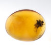 Cretaceous flower in amber - Image 3
