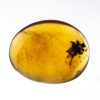 Cretaceous flower in amber - Image 2