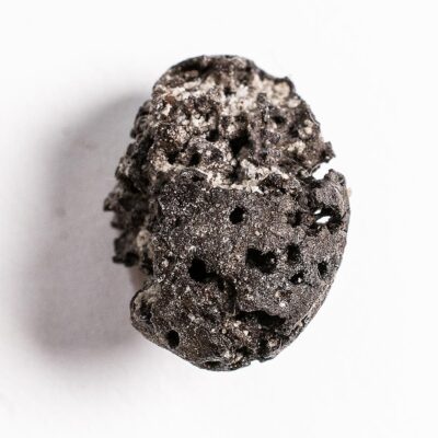 Miocene Fruit - Palliopora