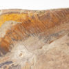 Giant Ordovocian Anomalocaridid &#8211; Aegirocassis benmoulai, The Natural Canvas