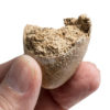 Miocene bird egg from France, The Natural Canvas