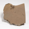 Rare Flower - Astronium truncatum - Image 2