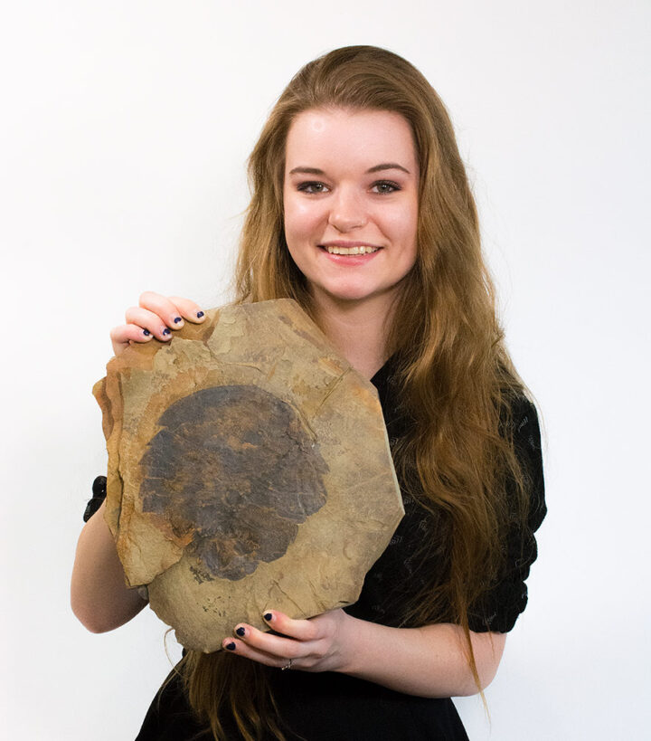 Enormous Softbodied Arthropod - Cheloniellid