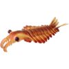 Anomalocaris from California &#8211; RARE, The Natural Canvas