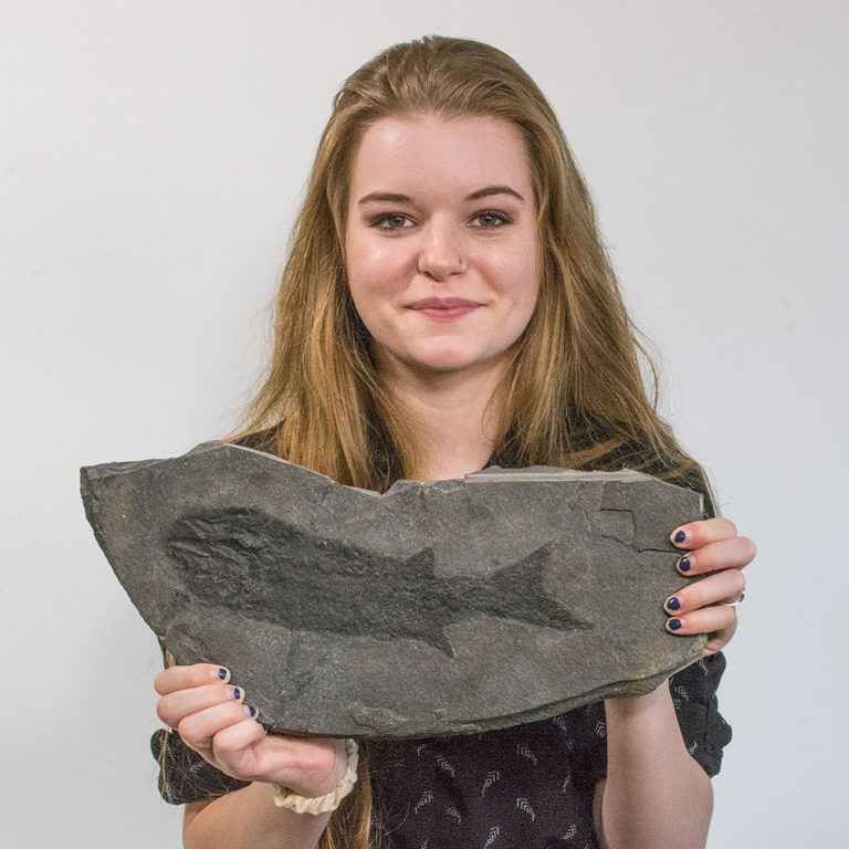 Devonian Fish - Cheirolepis trailli