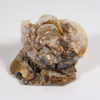 Chalcedony Nautiloid - Aturia - Image 2