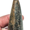 Giant Tyrannosaurus rex tooth - Image 9