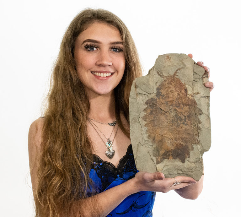 Extraordinary Complete Ordovician Anomalocaridid