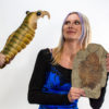 Extraordinary Complete Ordovician Anomalocaridid - Image 10