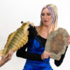 Extraordinary Complete Ordovician Anomalocaridid - Image 11