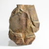 Ordovician Aglaspid arthropod plus rare trilobite Lehua - Image 6