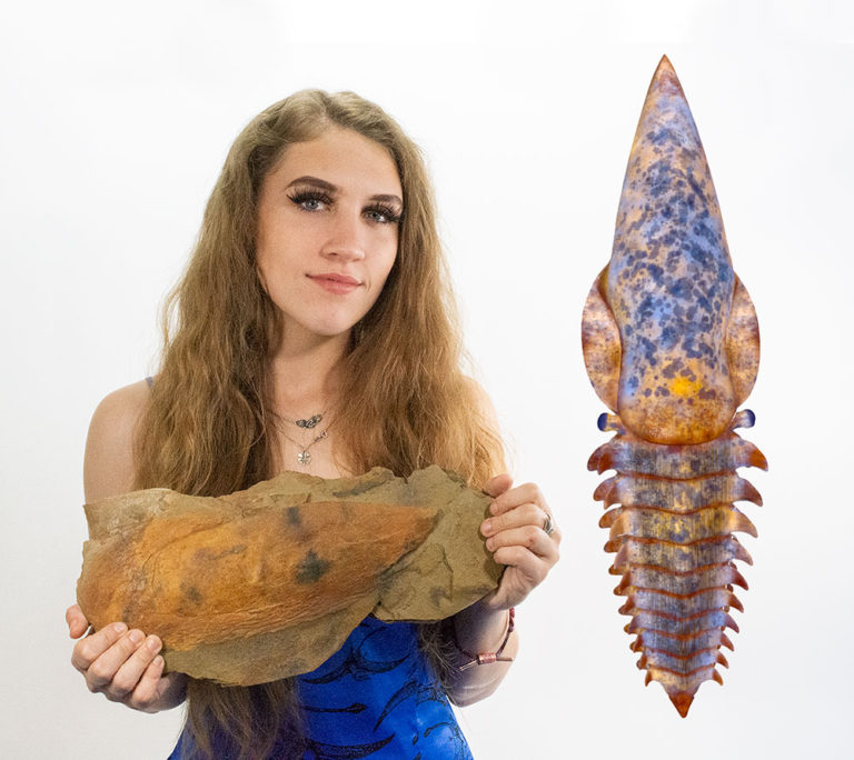 Huge Ordovician Anomalocaridid Headshield &#8211; Aegirocassis, The Natural Canvas