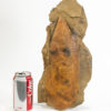 Huge Ordovician Anomalocaridid Headshield &#8211; Aegirocassis, The Natural Canvas