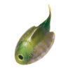 Jawless fish from China &#8211; Polybranchiaspis, The Natural Canvas